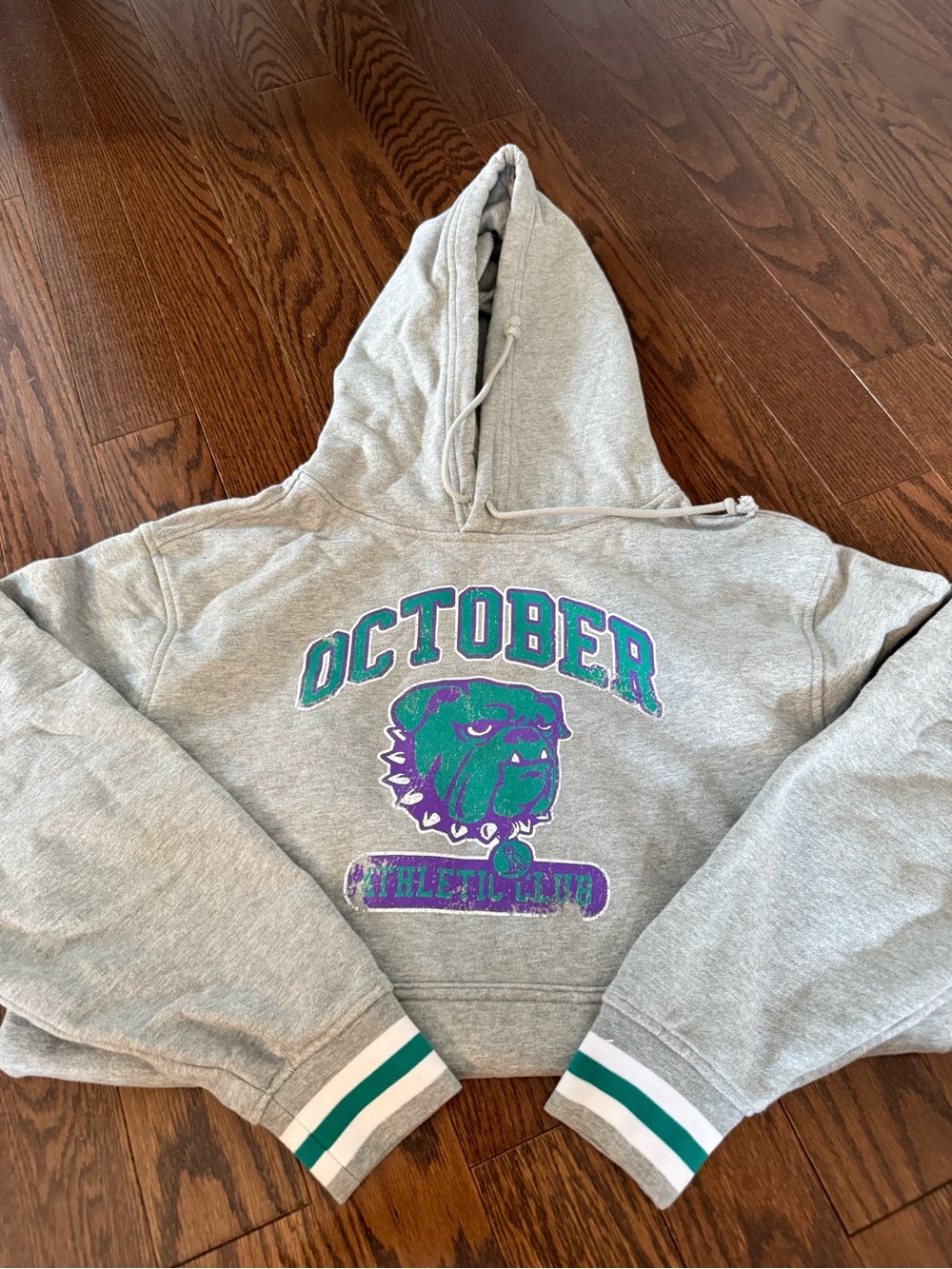 OVO Grey Hoodie with Green & Purple Graphic